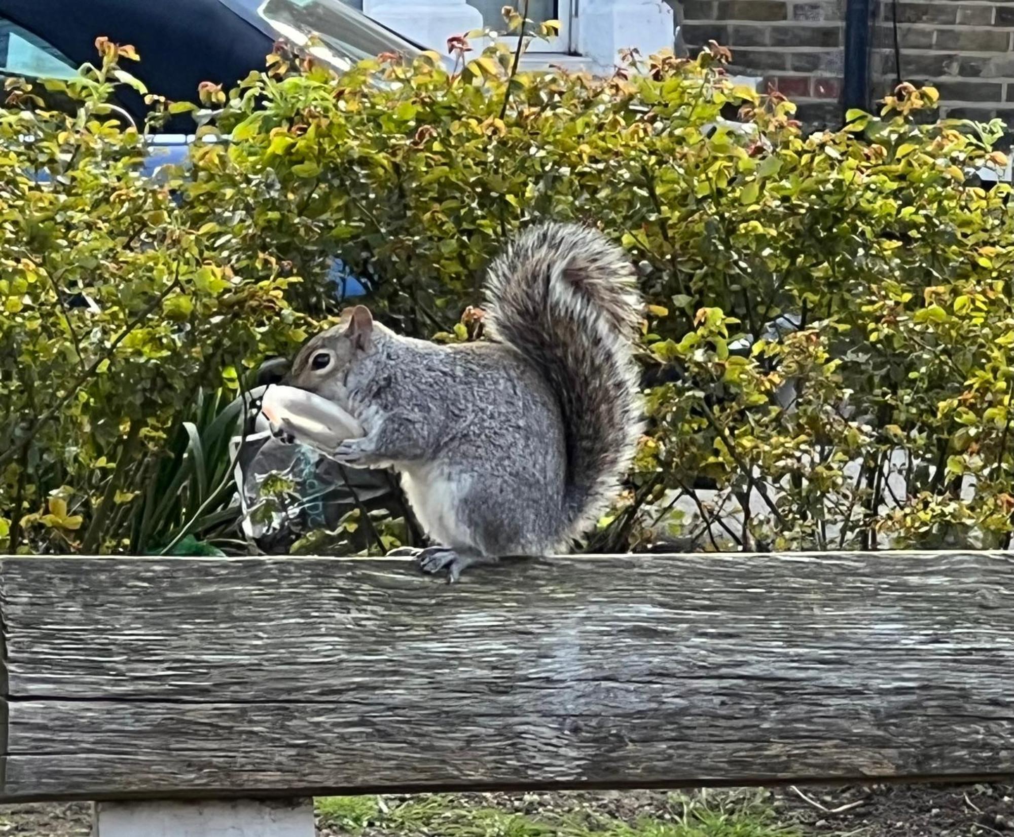 Double Old Kent Road * London